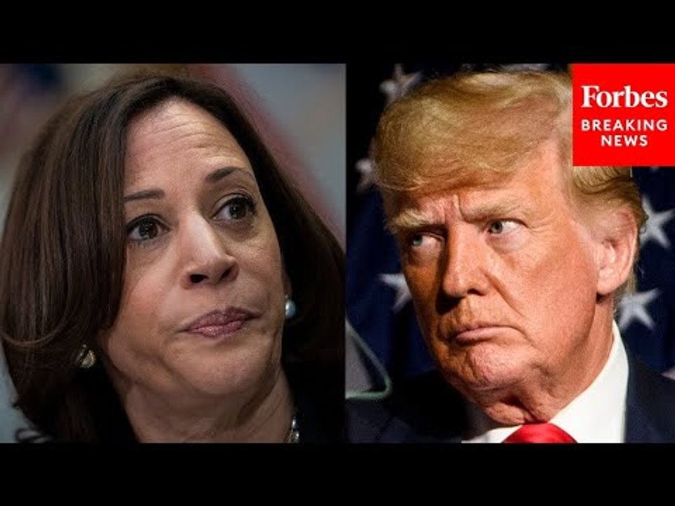 Professor Of Political Science: These Should Be Kamala Harris' Focuses In The 2024 Campaign