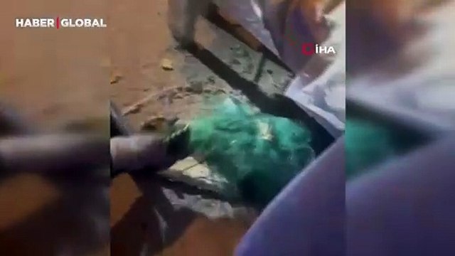 Fileye dolanıp acı çeken yılanı kurtaran itfaiyeci ona su içirdi