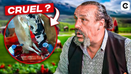 L’écologie de droite, c’est crédible ? | LE CRAYON