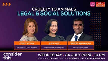 Consider This: Animal Abuse (Part 3) — Legal & Social Solutions