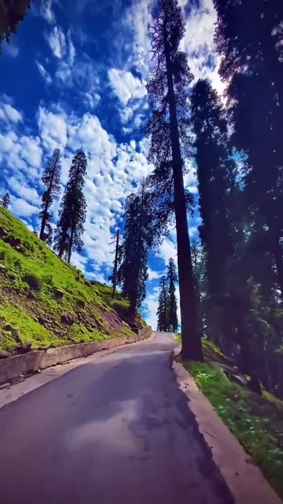 travel