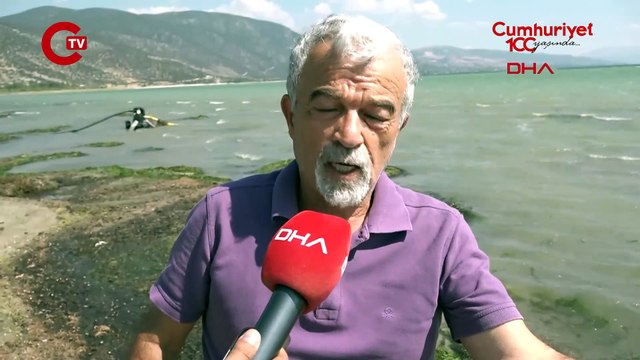 Eğirdir Gölü'nde tedirgin eden görüntü Binlerce kabuklu su canlısı ölüsü kıyıya vurdu
