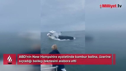 Tek hamlede tekneyi alabora etti! Balıkçılara şok saldırı, bir anda suyun yüzeyinde belirdi