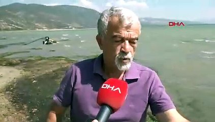 Türkiye'nin bir zamanlar masmavi cennetiydi, ölüm kıyıya vurdu