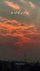 is shar ma kitny log mily