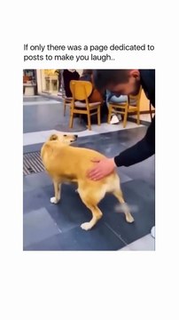 Follow @makeyoullaugh to see smile on your face!!Disclaimer- The material used in this is purely for entertainment purposes. W... music-footage used, and no copyright infringement is intended.All rights go to their respective o - 2024-07-24T131704.963