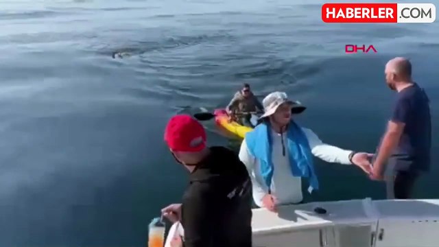 Dünya Buzlu Suda Yüzme Şampiyonu Deniz Kayadelen Köpekbalıklarıyla Dolu Kanalı Yüzerek Geçti