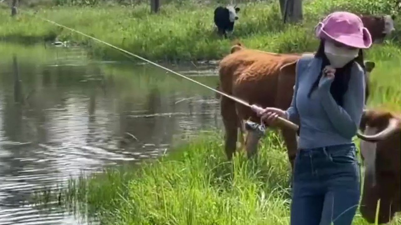 Lustiger Moment: Kuh stößt Frau in See rein