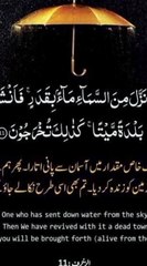 تم بھی اسی طرح نکالے جاؤ گے #trending#viral#shorts#foryou#islamic#dailymotiom#share