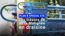 Plan B spécial été : les draisines de la Molignée, vous connaissez ?