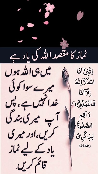 قرانی ایات اسلامک ویڈیو