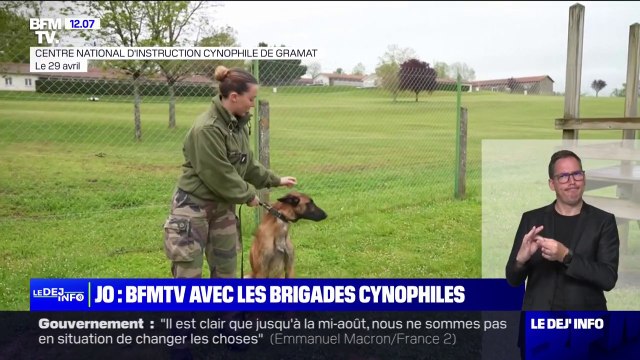 Recherche d'explosifs, neutralisation de suspects... L'entraînement intensif des brigades cynophiles mobilisées pour les JO