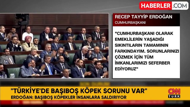 Erdoğan: Türkiye'de bir başıboş köpek sorunu var, Meclis tatile girmeden meseleyi çözeceğiz