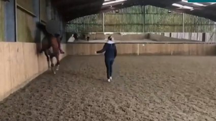 Video shows Charlotte Dujardin repeatedly whipping horse as she drops out of Olympics