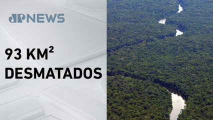 Amazônia tem primeiro semestre com menor desmatamento em 10 anos