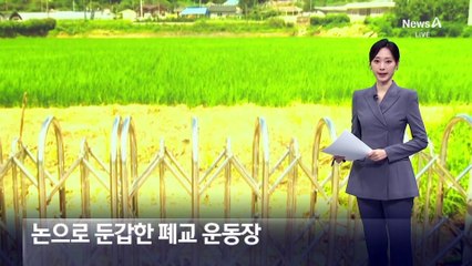 논으로 둔갑한 폐교 운동장…손 못 댄다?