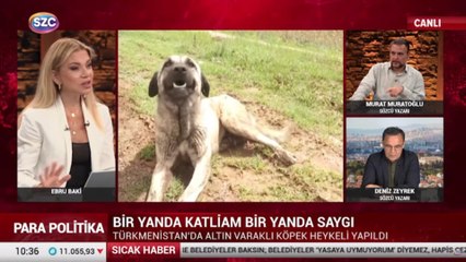 Sözcü yazarı Muratoğlu: Köpekleri öldürmek yerine Çin'e ihraç edelim, Çinliler köpek yemiyor mu?
