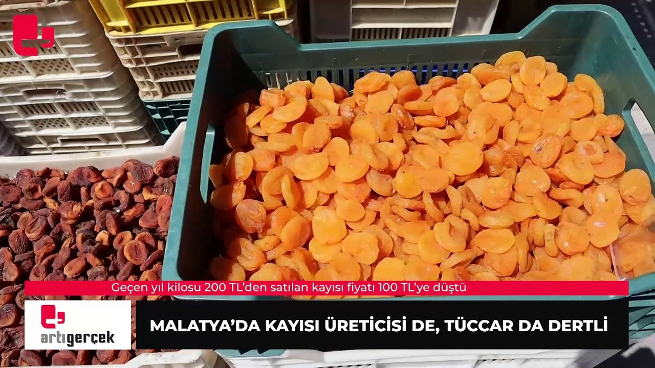 Malatya’da  kayısı üreticisi de tüccar da dertli | Haber: Yusuf DURDU 