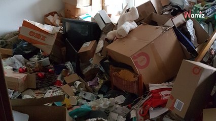 Appartement abandonné pendant plusieurs mois : la société de ménage y fait deux découvertes spectaculaires