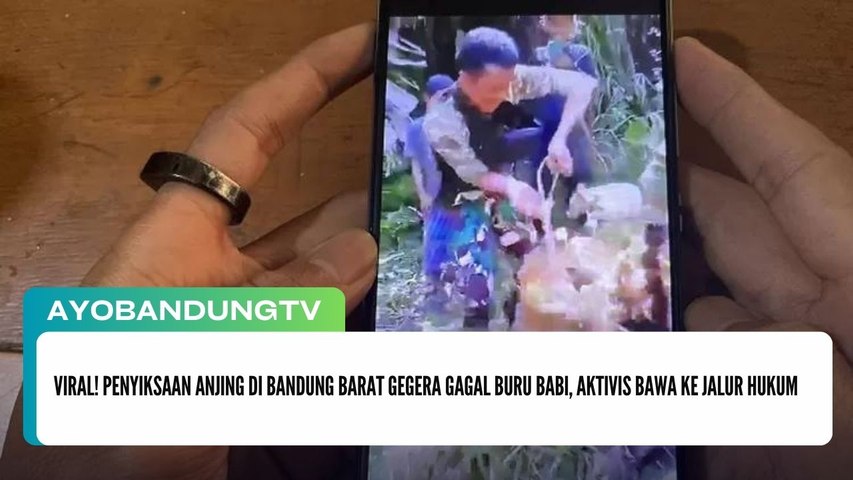 Viral! Penyiksaan Anjing di Bandung Barat Gegera Gagal Buru Babi, Aktivis Bawa ke Jalur Hukum