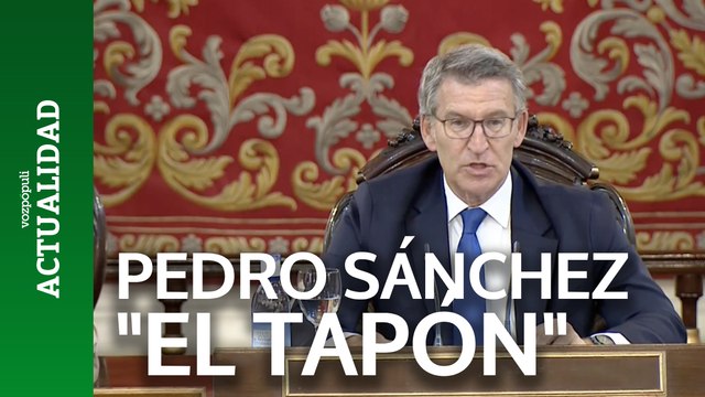 Feijóo asegura que Sánchez es el tapón para el cambio que requiere España