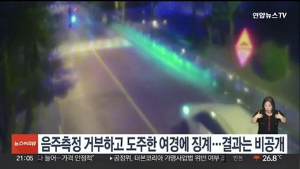 Скачать видео: 경찰, 음주측정 거부하고 도주한 여경 징계…결과는 '비공개'