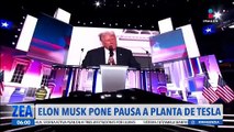 Elon Musk pone pausa a la planta de Tesla en México