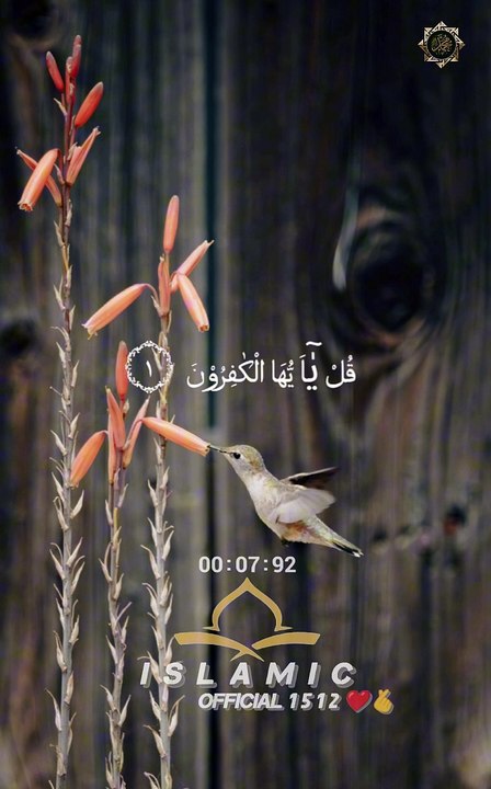 islamic video part 07