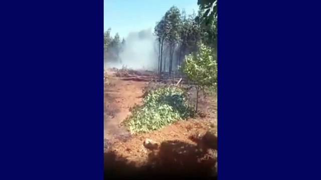 Jatinho cai e pega fogo no MT; duas pessoas morreram