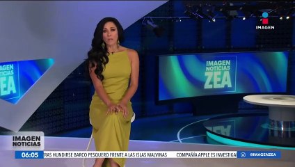 Detectan a tiburones intoxicados con cocaína en Brasil