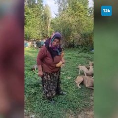 Konyalı vatandaştan sokak hayvanları yasasına tepki