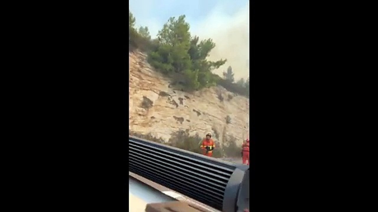 Vieste, incendio nel bosco di Baia San Felice: in azione i Canadair, turisti evacuati