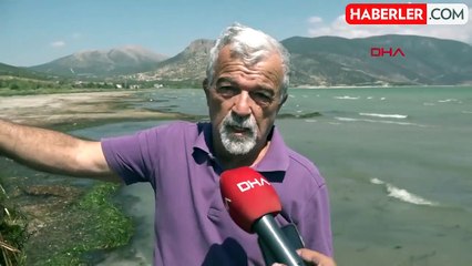 Türkiye'nin en büyük tatlı su gölünde uzmanları yıkan manzara! Atıkları temizleyen binlerce canlı kıyaya vurdu