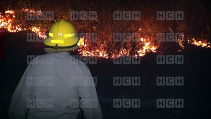 Chica trans denuncia discriminación, acoso y maltrato policial por las noches | Móvil de Emergencia SPS