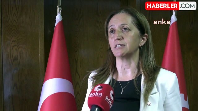 DİSK Genel Başkanı Arzu Çerkezoğlu, Sendikal Mevzuatın Demokratikleştirilmesi İçin Mücadele Verdiklerini Söyledi