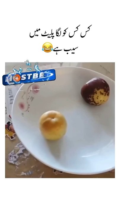 Amazing video
