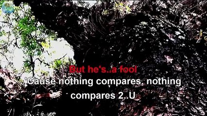 Sinead O'Connor - Nothing Compares 2 U (1990)