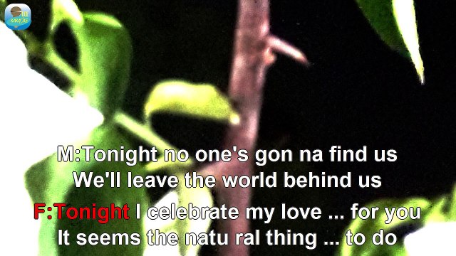 Peabo Bryson & Roberta Flack Tonight, I Celebrate My Love (1983)