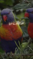 Beautiful Jumma bayan 2024#bayan #best #new #viralshort