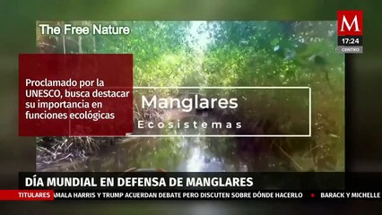 Cada 26 de julio se conmemora el Día Mundial en Defensa de Manglares