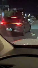 The careless owner almost killed the dog