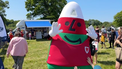 Newport officially named as 2027 Urdd host