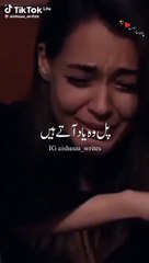 Pal wo yad aaty Hain