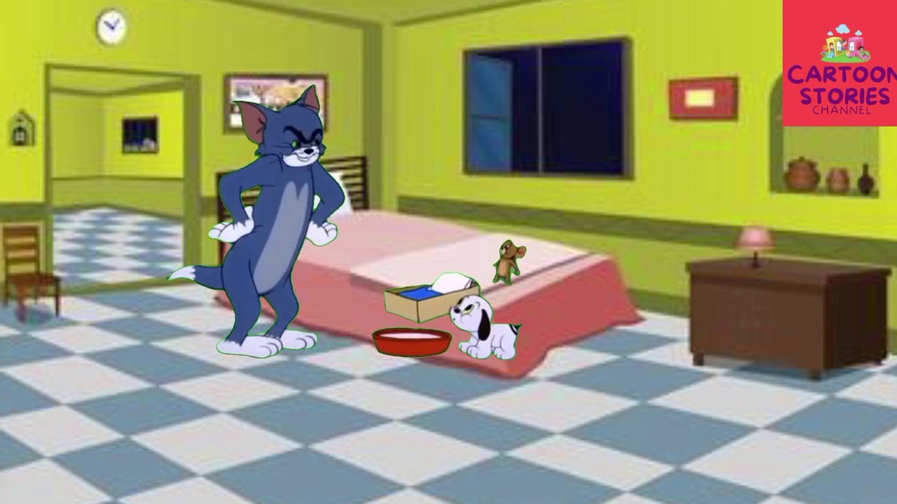 Tom And Jerry | Classic Funny Video | Cartoon Stories Channel