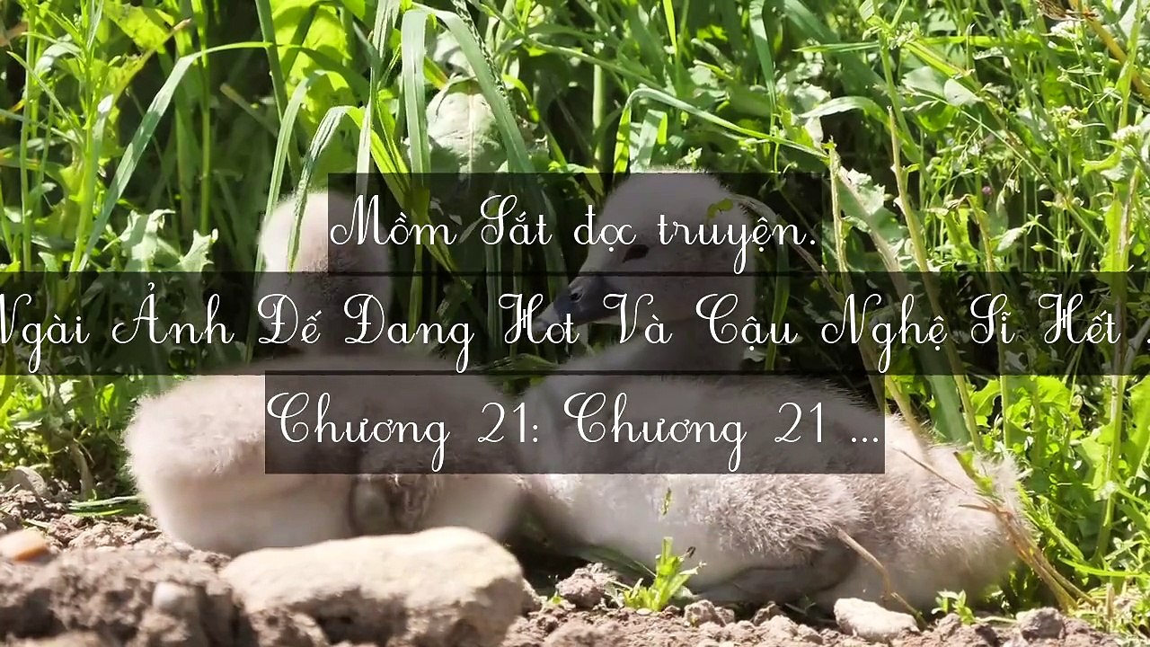 Mới 2024 Chương 21-25: Ngài Ảnh Đế Đang Hot Và Cậu Nghệ Sĩ Hết Thời