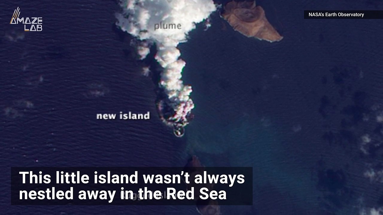 This Island Was Formed In Just Four Days in the Red Sea