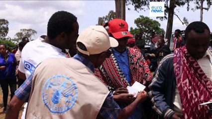 Fao, "733 milioni di persone hanno sofferto la fame nel 2023"