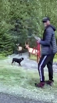 Whether it’s the unexpected appearance of a pet parrot or the embarrassing glimpse of a laundry pile, we’ve all had our share of ‘oops’ moments. But let’s talk about that one time when my perfectly organized bookshelf ba