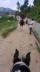 Merik Darjeeling tour