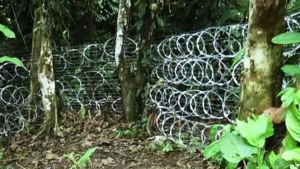 "Deportación" de migrantes en Panamá es "inminente", dice EEUU